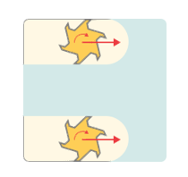images/download/thumbnails/147760227/image2023-10-12_14-28-14.png